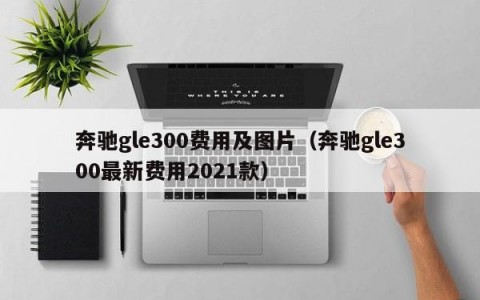 奔驰gle300费用及图片（奔驰gle300最新费用2021款）