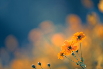 真实辅助“川麻圈有挂吗”开挂(透视)最新辅助详细