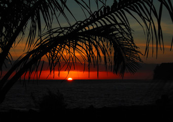 玩家必看教程“微乐江西麻将小程序怎样免费开挂”【透视软件教程分享】