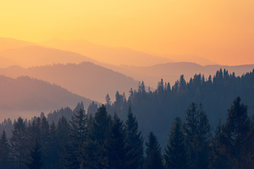 最新一款“wepoker的10个必赢技巧”开挂(透视)辅助教程!