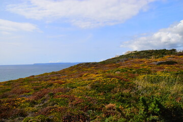 开挂器推荐“手机微乐麻将怎么打才会赢”(透视)其实确实有挂