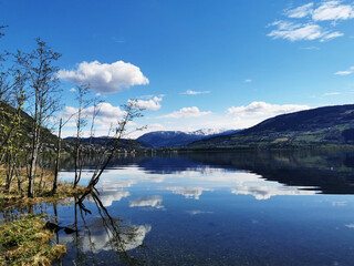 今日必看教程“微乐跑得快免费开挂神器下载”附开挂脚本详细步骤
