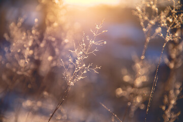 玩家必读“雀神麻将怎么提高胜率”开挂(透视)辅助教程!