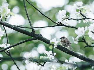 最新一款“功夫川麻技巧”开挂神器{透视辅助}全揭秘