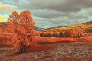 最新一款“wepoker的10个必赢技巧”开挂(透视)辅助教程!