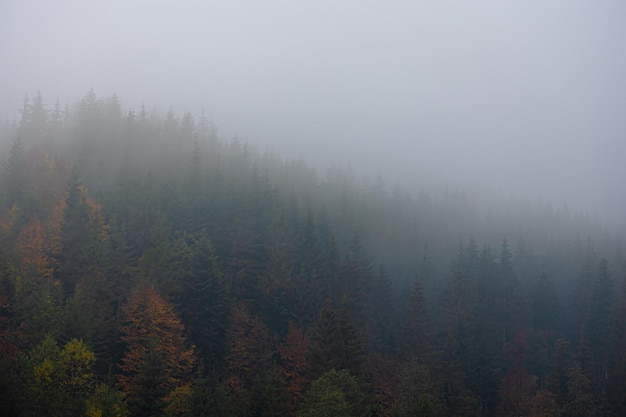 真实辅助“心悦填大坑有挂吗”开挂(透视)最新辅助详细