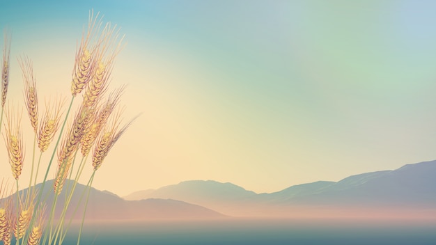 辅助开挂工具“手机斗地主怎么能拿到好牌”(透视)其实确实有挂