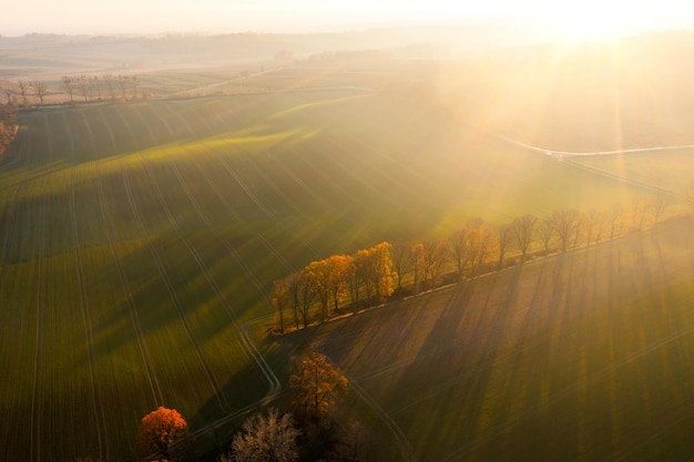 开挂技巧“大懒人娱乐开挂教程”开挂(透视)辅助教程!