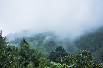 玩家必看教程“微乐内蒙麻将开挂教程”详细开挂